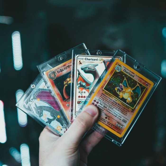 pokemon (1)